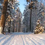 Pensjonat Kiipula 3*
