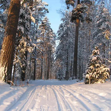 招待所 Kiipula 3*